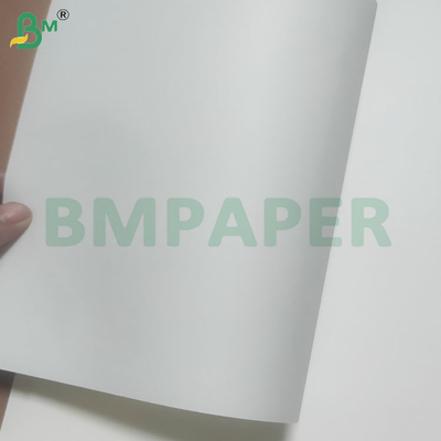 60/120 GSM Gulung kertas jerami untuk minum dengan warna yang disesuaikan