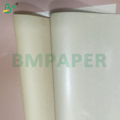 60/120 GSM Gulung kertas jerami untuk minum dengan warna yang disesuaikan