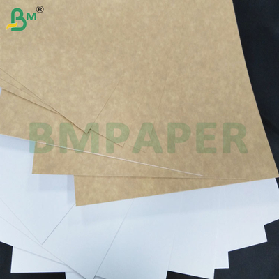 200-360 GSM Lembar kertas kraft tahan beku satu sisi