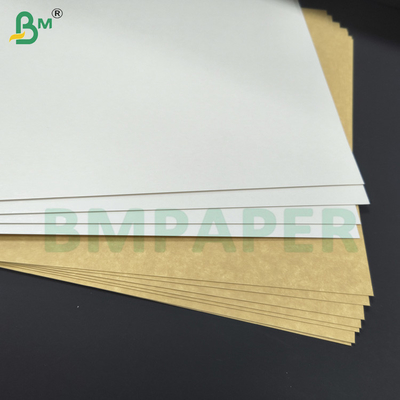 Strong Kraft Back Board 325gsm CKB Carrier Board Untuk Kotak Makanan