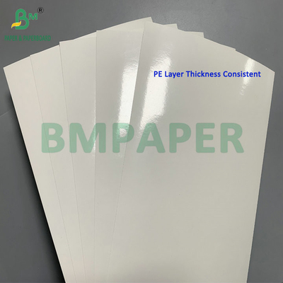 260gm + 15gm PE Lapisan SBS Karton Untuk Udang beku Food Packaging Box
