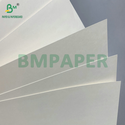 C1S PE Permukaan 210gsm 230gsm Cup Paper Untuk Minuman Cup Jumbo Roll