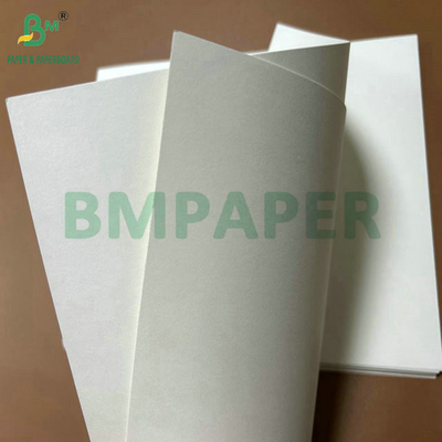 Kelas Makanan 250Gram 737mm Waterproof Cupstock 1 PE Paper untuk cangkir