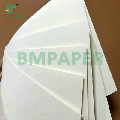 Kelas Makanan 250Gram 737mm Waterproof Cupstock 1 PE Paper untuk cangkir