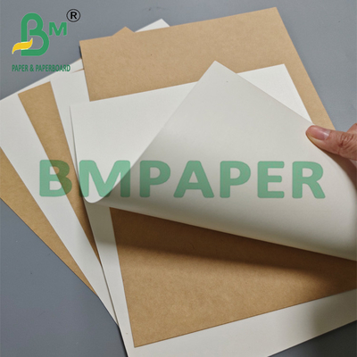 15g 18g PE Laminated Cup Stock Paper Food Grade Untuk Ice Cream Cup