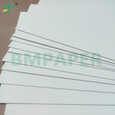 Absorbent Coaster Paper Sheets anti bocor tahan panas tahan lama