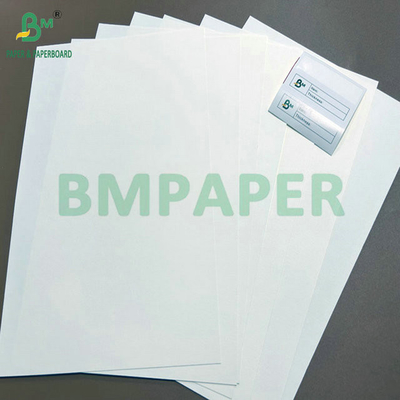 6 inci Core 900mm 960mm Lebar Foodgrade CupStock Kertas Untuk Minum cangkir