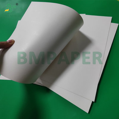 300gm +15g PE Lapisan Paper Cup Stock Board Untuk Minuman Panas 820mm 880mm