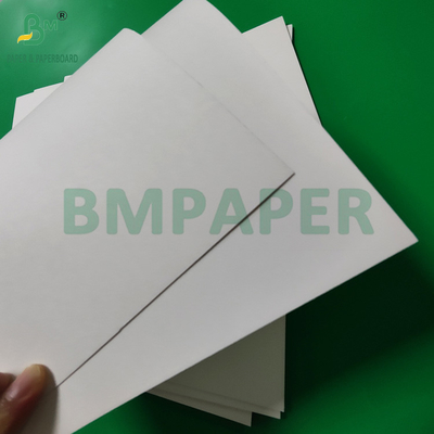 300gm +15g PE Lapisan Paper Cup Stock Board Untuk Minuman Panas 820mm 880mm