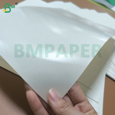 Bahan baku kertas cupstock bertekstur PE tahan air