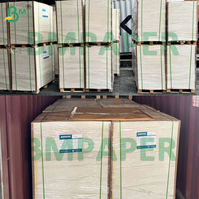 Bahan baku kertas cupstock bertekstur PE tahan air