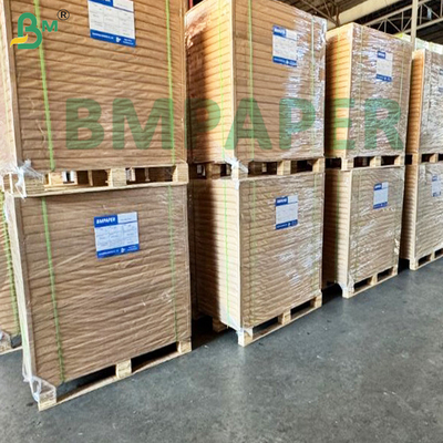Bahan baku kertas cupstock bertekstur PE tahan air