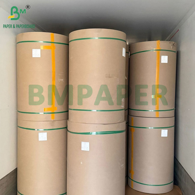 240g + 18g PE Lapisan Piala Stok Kertas Mat Finish Satu Sisi Custom Roll Lebar 430mm - 2100mm