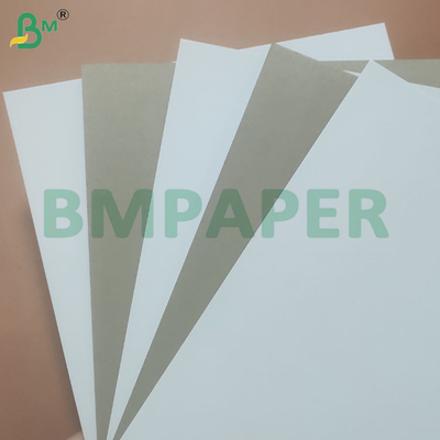 300gm Pulp Daur Ulang 700*1000mm Lapisan Kertas Belakang Berlapis Putih Abu-abu