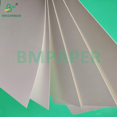 230gsm 260gsm Single Side PE Coated Cup Paper Untuk Membuat Cup Paper