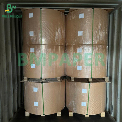 230gsm 260gsm Single Side PE Coated Cup Paper Untuk Membuat Cup Paper