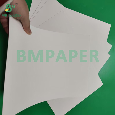 230gsm 260gsm Single Side PE Coated Cup Paper Untuk Membuat Cup Paper