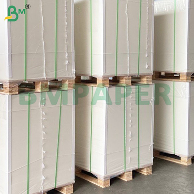 100% Pemasok Pelindung Pulp Kayu Kertas Kantong Buah untuk Guava di Putih