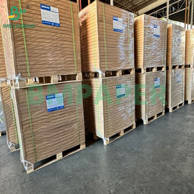 210gm 215gm Food Grade Coated Ivory Paper Untuk Pengemasan Kentang Goreng