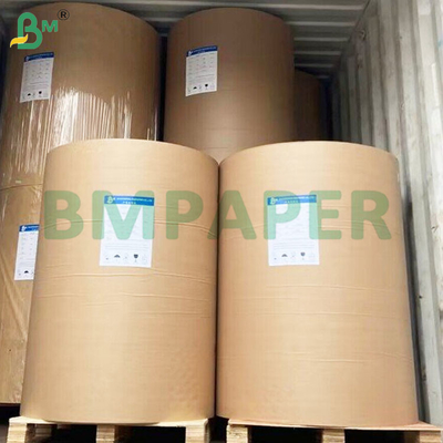 Single Side PE Coating Non Toxic Cup Stock Paper Rolls untuk Minuman