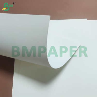 Gelas dan Daur Ulang Putih Putih Cup Base Paper Rolls 230gsm