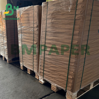 Biodegradable Food Wrapping Cardboard tahan dingin sekali pakai