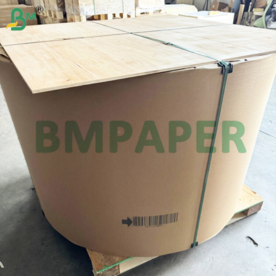 Perak dan Emas Glossy Metallic Finish 250gm Untuk Kotak Karton Lipat