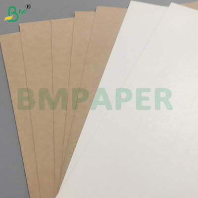 Keamanan pangan 200+10GSM Lembar kertas berlapis PET untuk wadah makanan