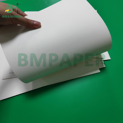 Waterproof PET Laminated 300gsm White Cardboard Untuk Lunch Box Daur Ulang