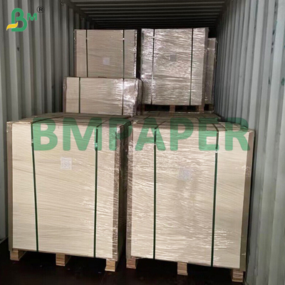 Kertas Sketsa 160g 180g Kertas Cat Air Kertas Gambar Putih Seniman