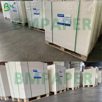 Papan SBS yang tidak dilapisi Putih Kedua Sisi Tidak dilapisi 400gsm Ketahanan