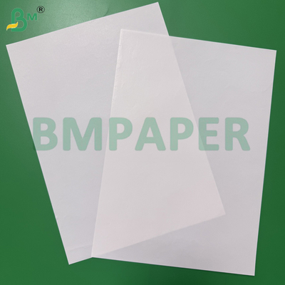 65 - 80gsm Kertas putih tahan basah tinggi untuk wadah kemasan minuman Kertas label bir berlapis satu sisi