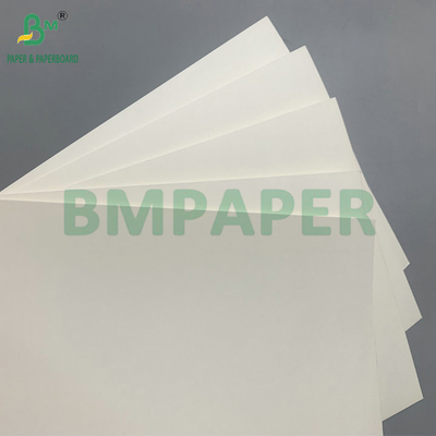 Kertas Stok Cangkir 210gsm PE Coated Tahan Air 18g Untuk Pembuatan Cangkir Kopi