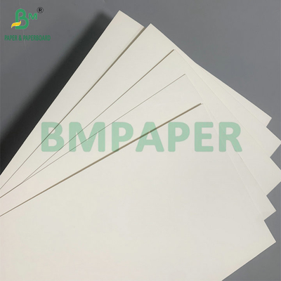 Kertas Stok Cangkir 210gsm PE Coated Tahan Air 18g Untuk Pembuatan Cangkir Kopi