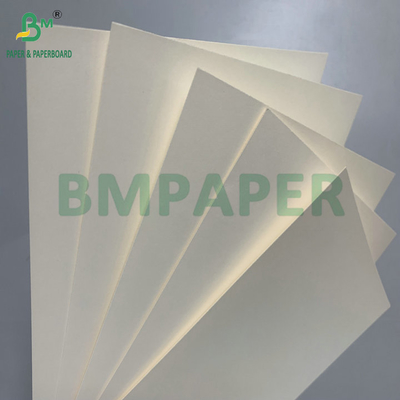 Kertas Stok Cangkir 210gsm PE Coated Tahan Air 18g Untuk Pembuatan Cangkir Kopi