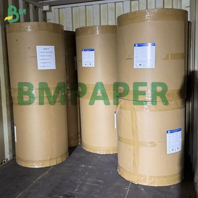 Kertas Perkamen Silikon Dua Sisi - Bahan Kertas BBQ Anti Lengket