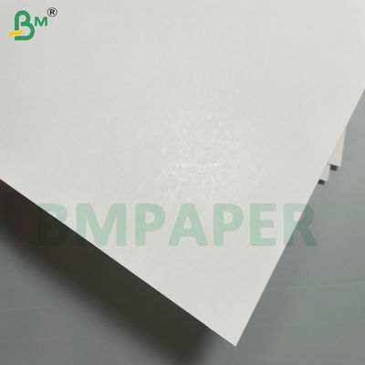 Heat Seal Coated Blister Card Paper 320gsm 350gsm C1S Cardstock
