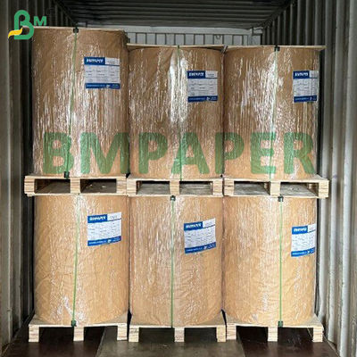 Heat Seal Coated Blister Card Paper 320gsm 350gsm C1S Cardstock