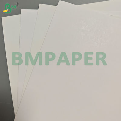 Kartu Karton Putih Blister Dilapisi Satu Sisi 250Gsm untuk Pengemasan Produk