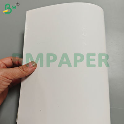 Kartu Karton Putih Blister Dilapisi Satu Sisi 250Gsm untuk Pengemasan Produk