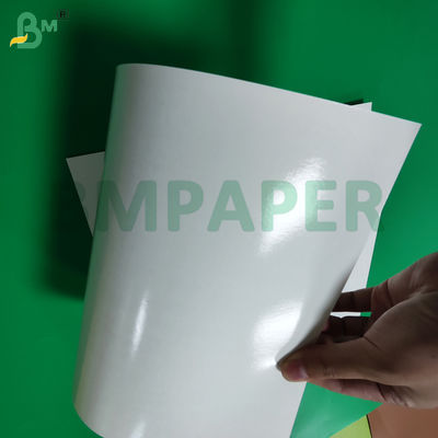 Karton Putih Berlapis PE 275g + 15g Untuk Kemasan Makanan Laut Beku 1000 x 700 mm