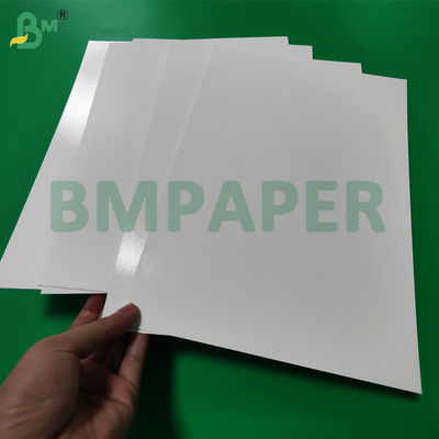 Karton Putih Berlapis PE 275g + 15g Untuk Kemasan Makanan Laut Beku 1000 x 700 mm