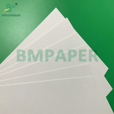 Kertas Penyerap Air Warna Putih 0.4mm 0.7mm Untuk Tatakan Cangkir Kopi