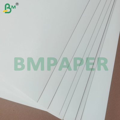 Gulungan Kertas Cup Stock Dilapisi PE 190+10gsm untuk Cangkir Kertas dan Mangkuk