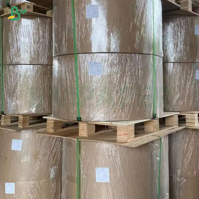 Kertas Mangga Dilapisi Lilin Satu Sisi 2 Lapis Anti Sinar Matahari 56gsm