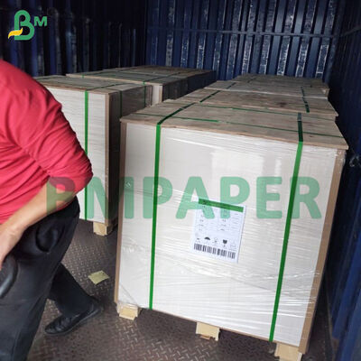 Uncoated Coaster Board 390gsm 455 X 650mm Untuk Table Mats Cake Base