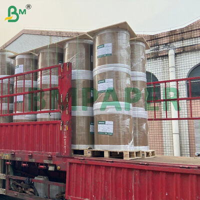 Kertas Kantong Tumbuh Mangga Gloss Dilapisi Lilin Bahan Belakang Hitam 56gsm