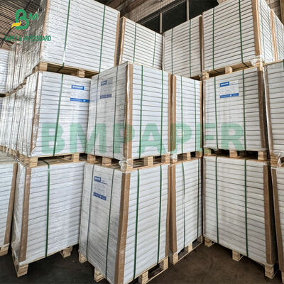 Kertas Karbon Bebas 75gsm Mandiri dalam Ukuran A4/Letter - Salinan Biru atau Hitam