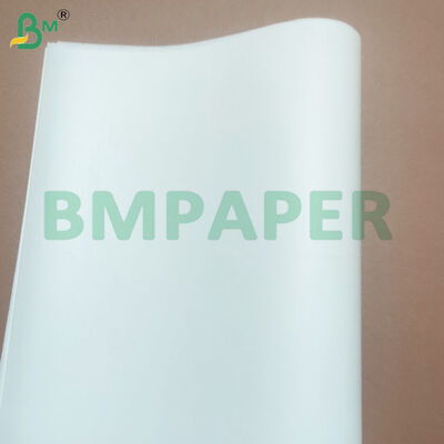 50gsm Silicone Coated Food Grade Paper Rolls for Baking Cooking