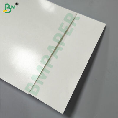 Food Grade Paper Cup Base Paper, Single / Double Side PE Coated 180-350gsm